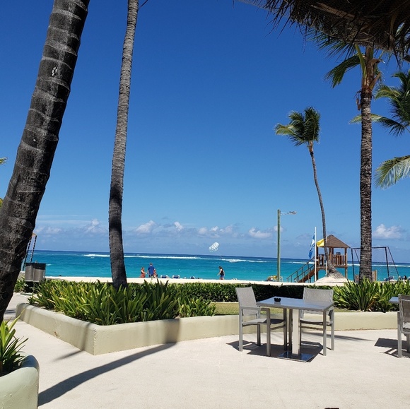 Meet your Posher, Kim - Picture 3 of 5